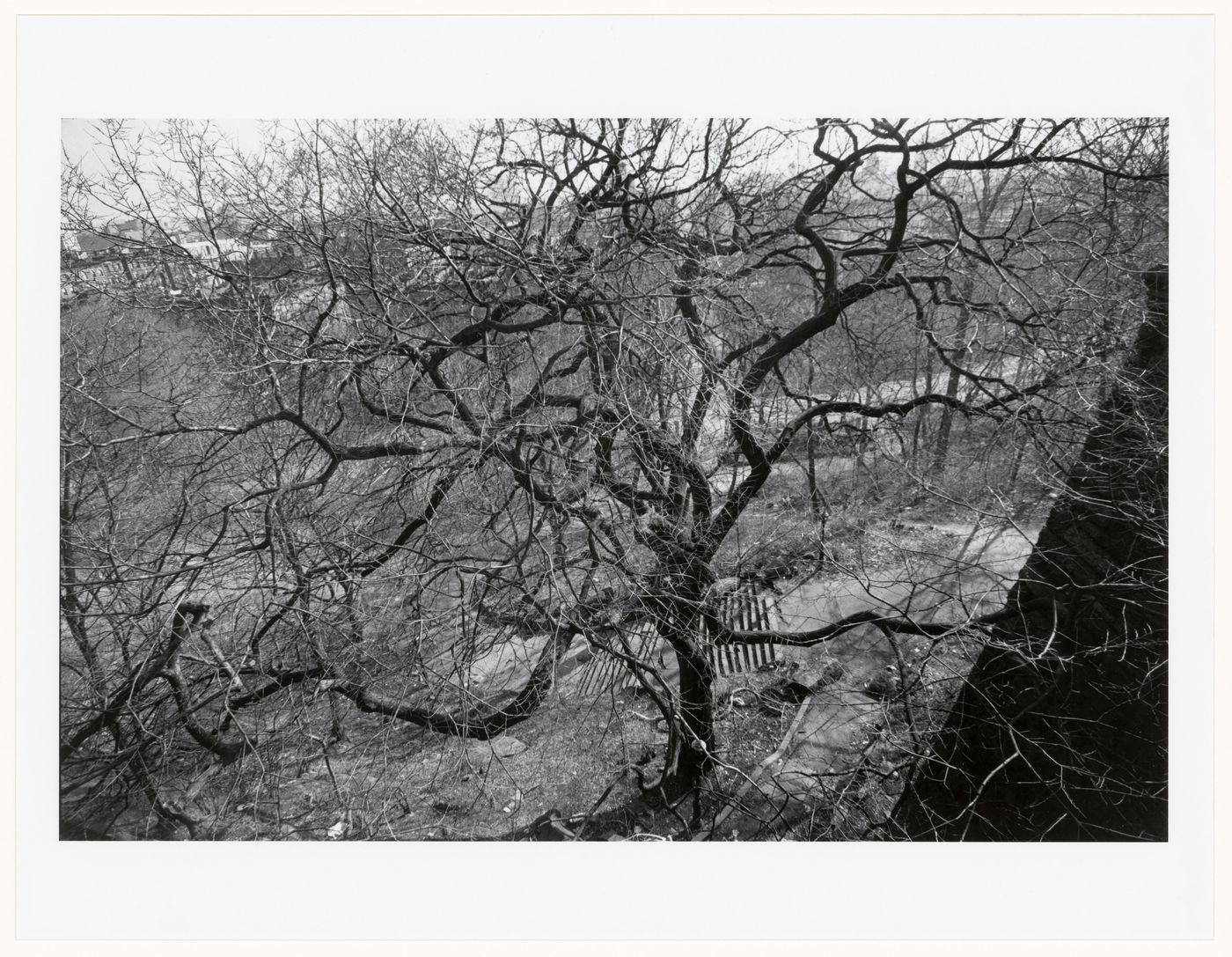 Morningside Park, Bronx, New York City, New York