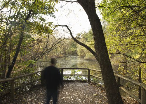 An Enduring Wilderness: Riverdale Park West, Toronto