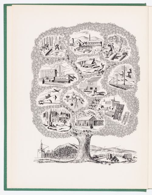 Canadian Woods: their properties and uses