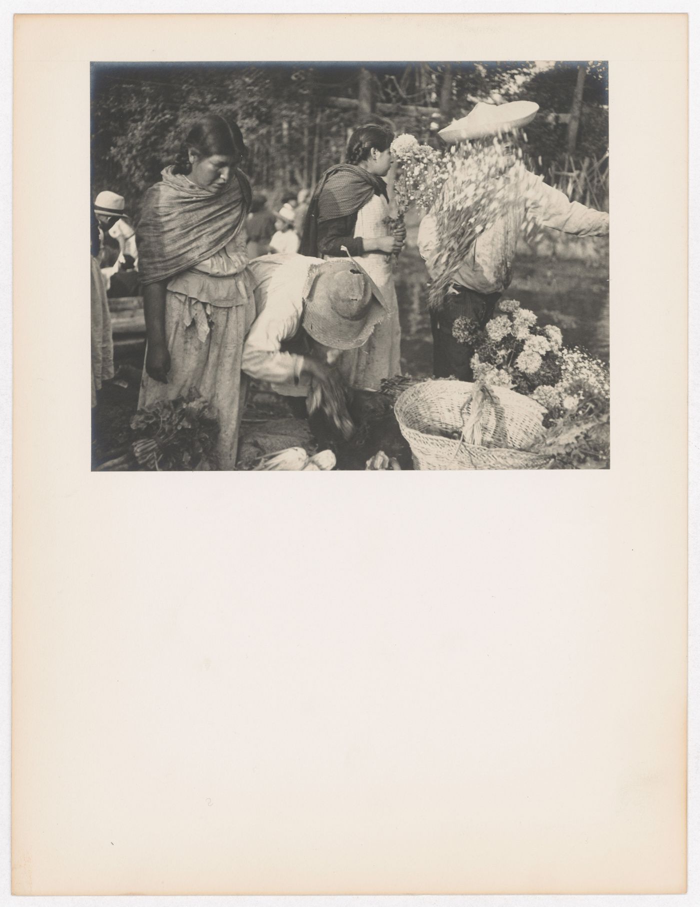 View of a flower market showing people and flowers, Mexico City, Mexico