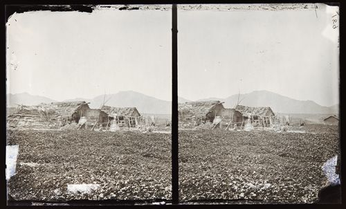 Stereograph of a (possibly) Luiseño / Payómkawichum home, Temecula Valley, California, United States of America