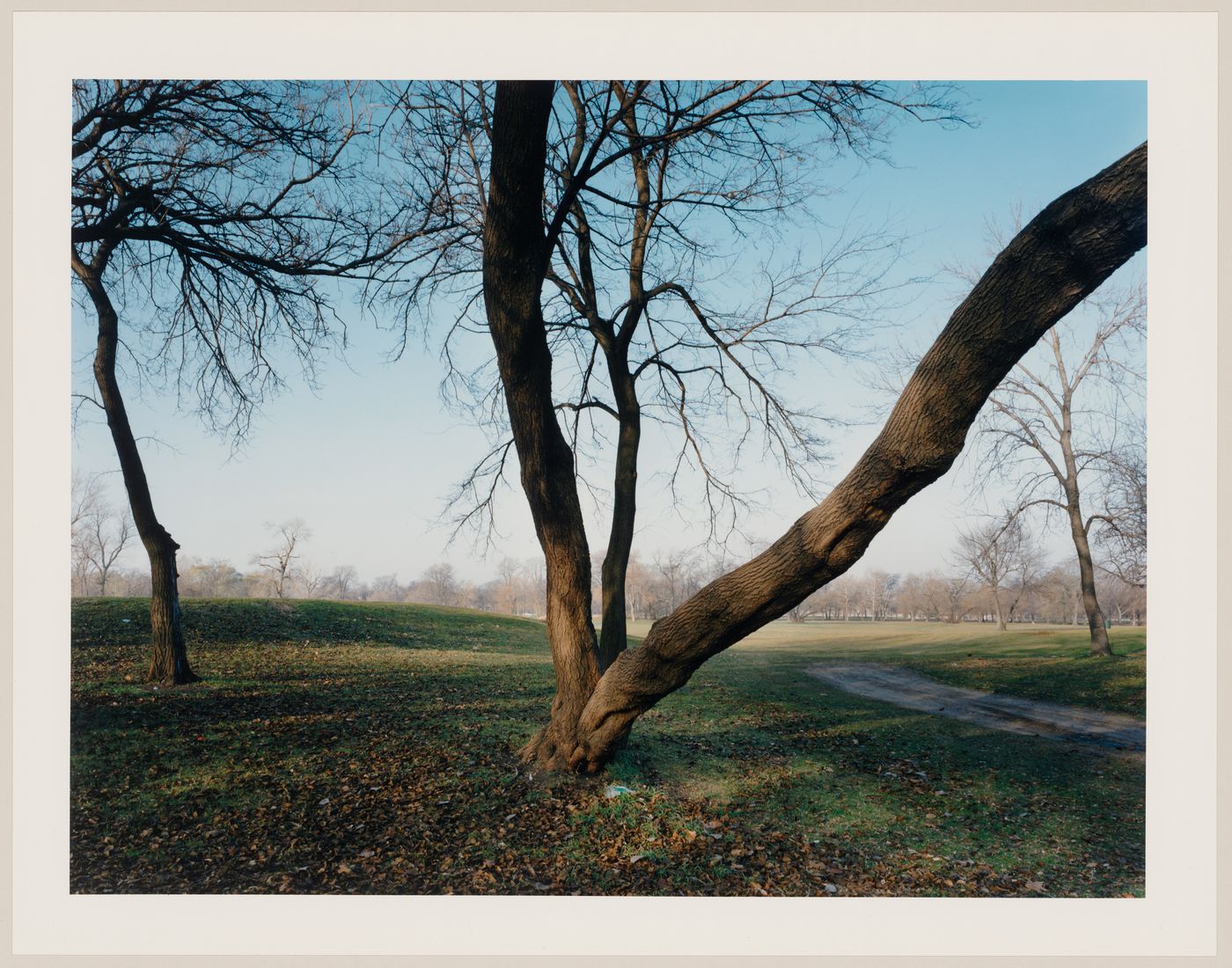 Viewing Olmsted: View of East side of park, Washington Park, Chicago, Illinois