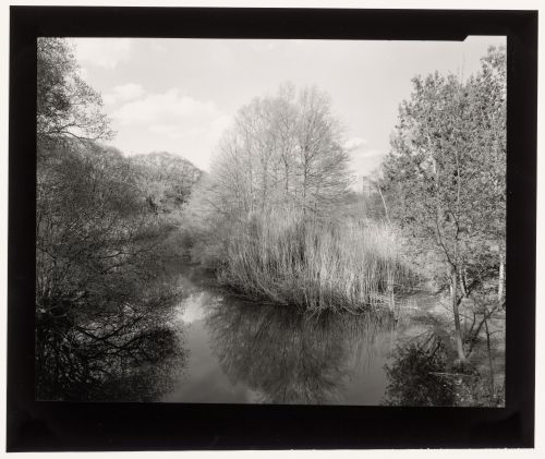 View from the Footbridge near Chapel Station, Muddy River Improvement, Boston, Massachusetts