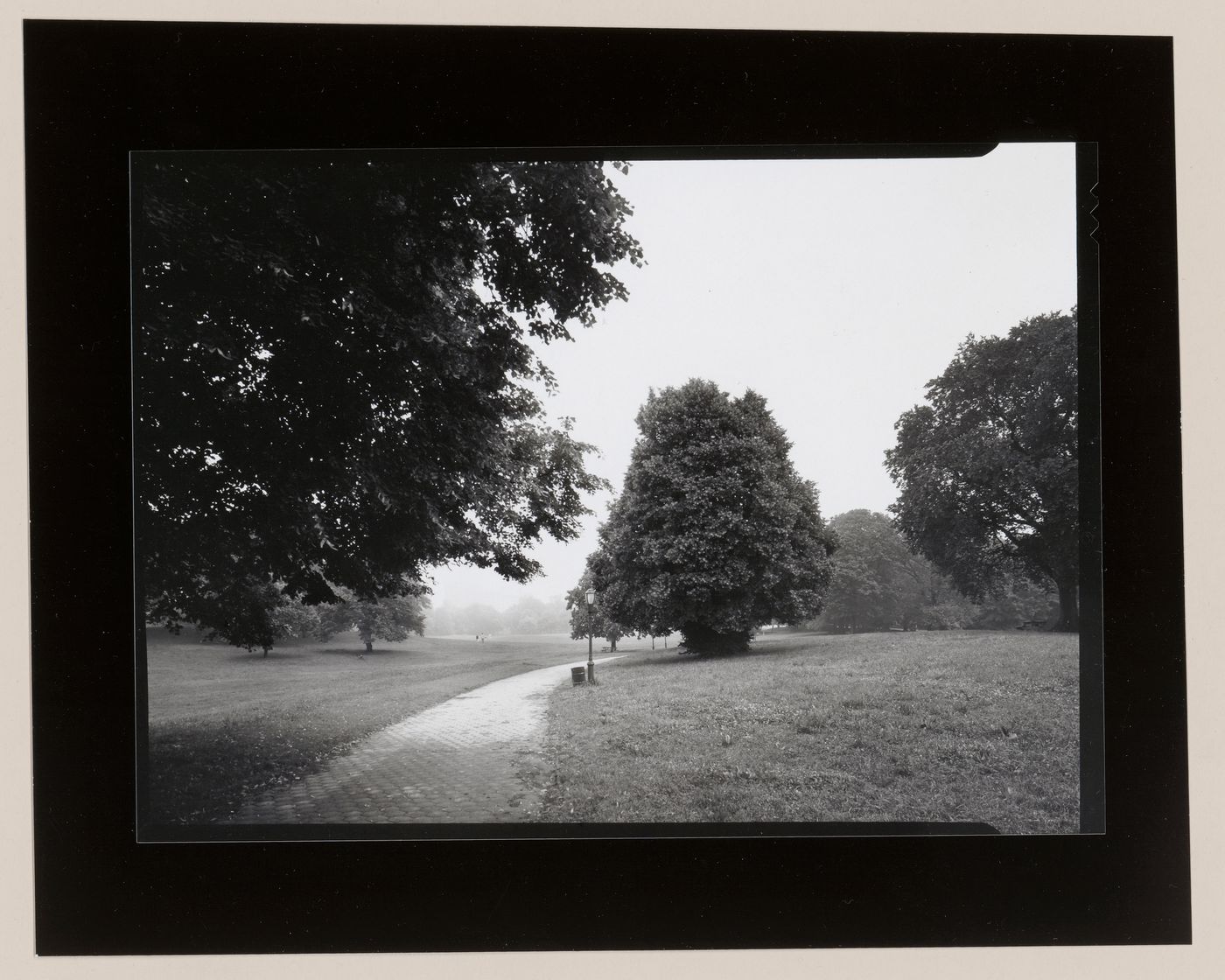 Long Meadow, Prospect Park, Brooklyn, New York City, New York