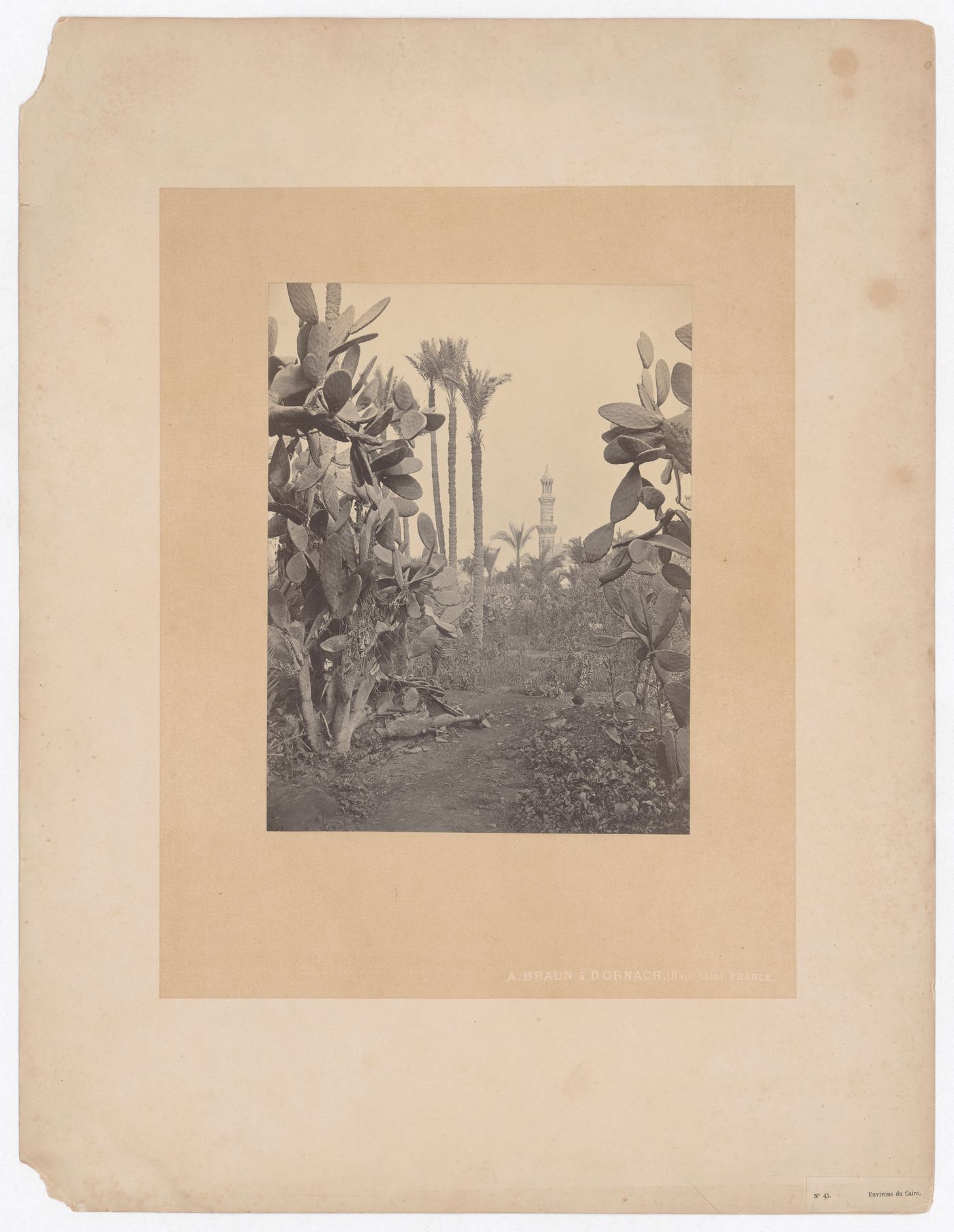Environs du Caire