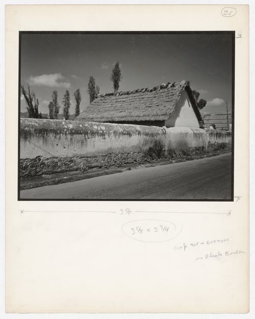 View of a wall and a house, Xochimilco, Mexico City, Mexico