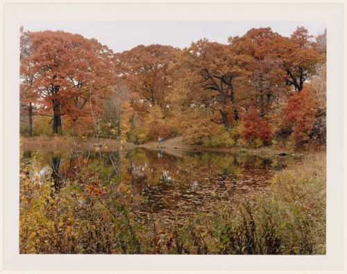 Viewing Olmsted: View of Wards Pond, Muddy River Improvement, Muddy River, Boston, Massachusetts