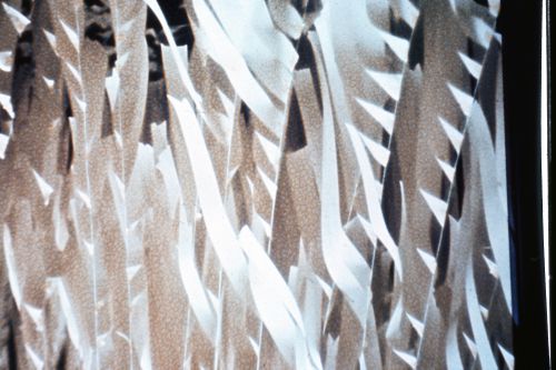 Slide of installation Paper/Midwestern Ocean