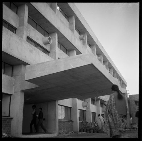 Negative of Punjab Agricultural College in Hisar, India