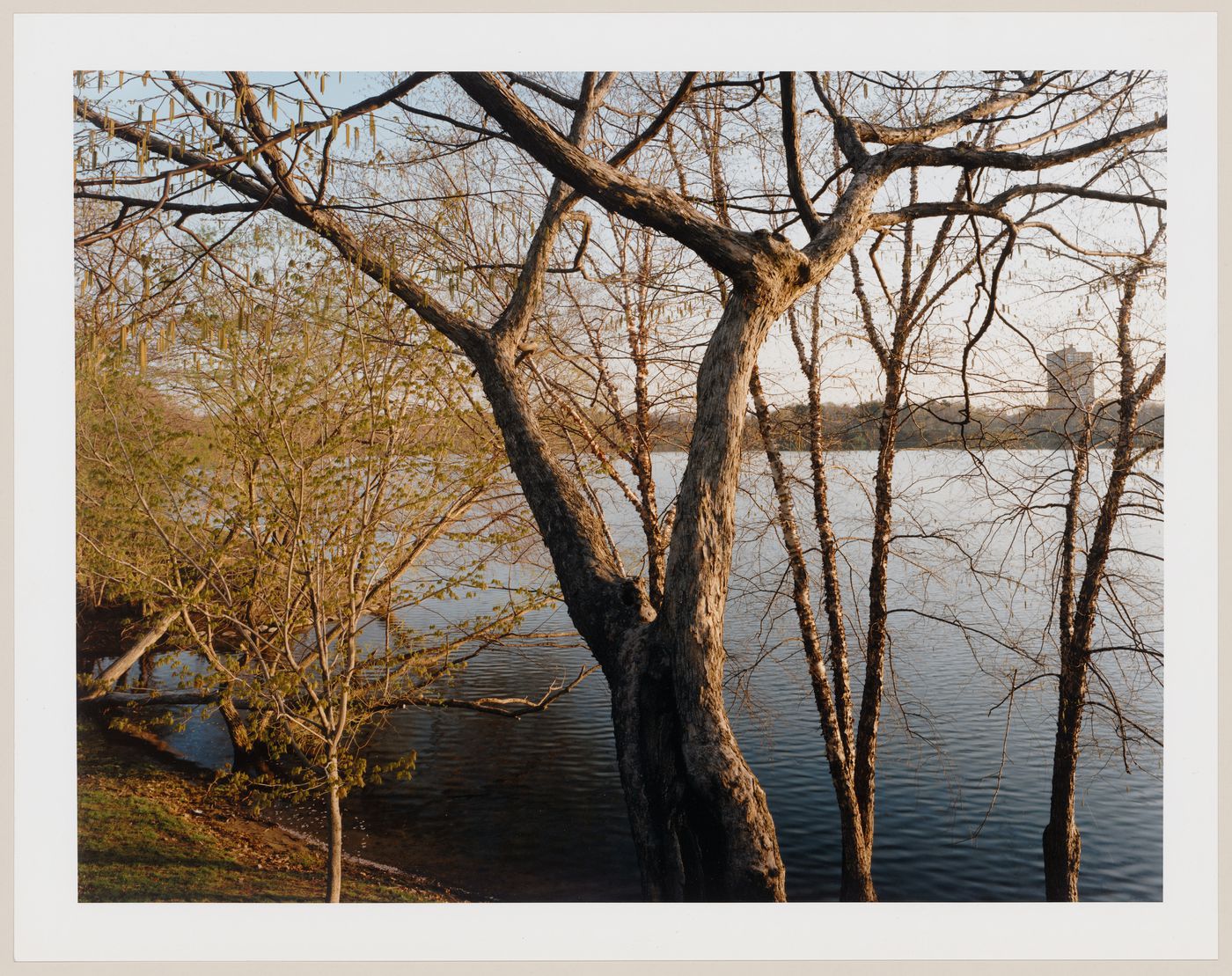Viewing Olmsted: View of Jamaica Pond, Boston, Massachusetts