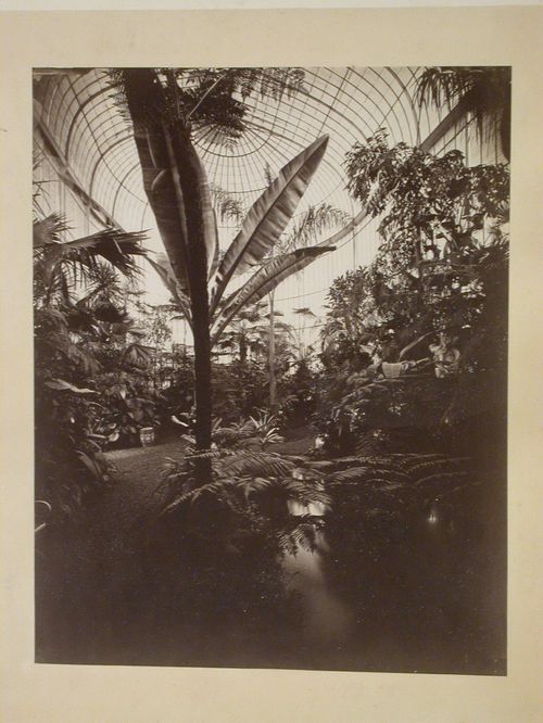 Conservatory with Trees, (probably France)