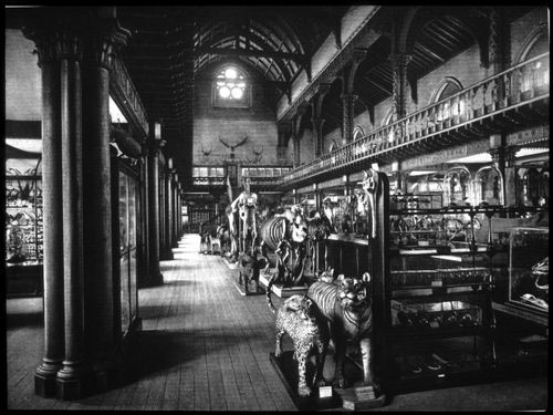 Plate from album ''University of Glasgow, Old and New''