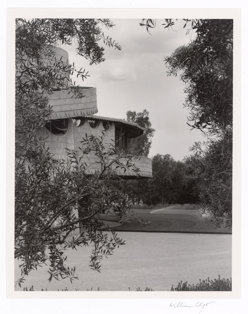 West side through olive trees, from the series The David and Gladys Wright House