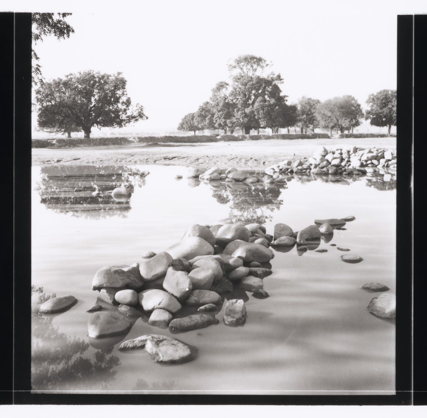 Pond with trees in the background in Chandigarh's area before the construction, India