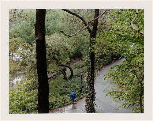 Viewing Olmsted: View of path with a walker wearing rain protection taken from a high vantage point, with trees, South East Corner, Central Park, New York City, New York