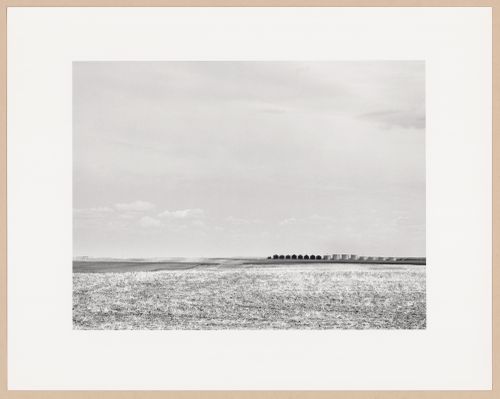 Farm storage buildings, Hwy. 1, Bassano, Sasktchewan, from the series The Forms of Canadian Industrial Architecture