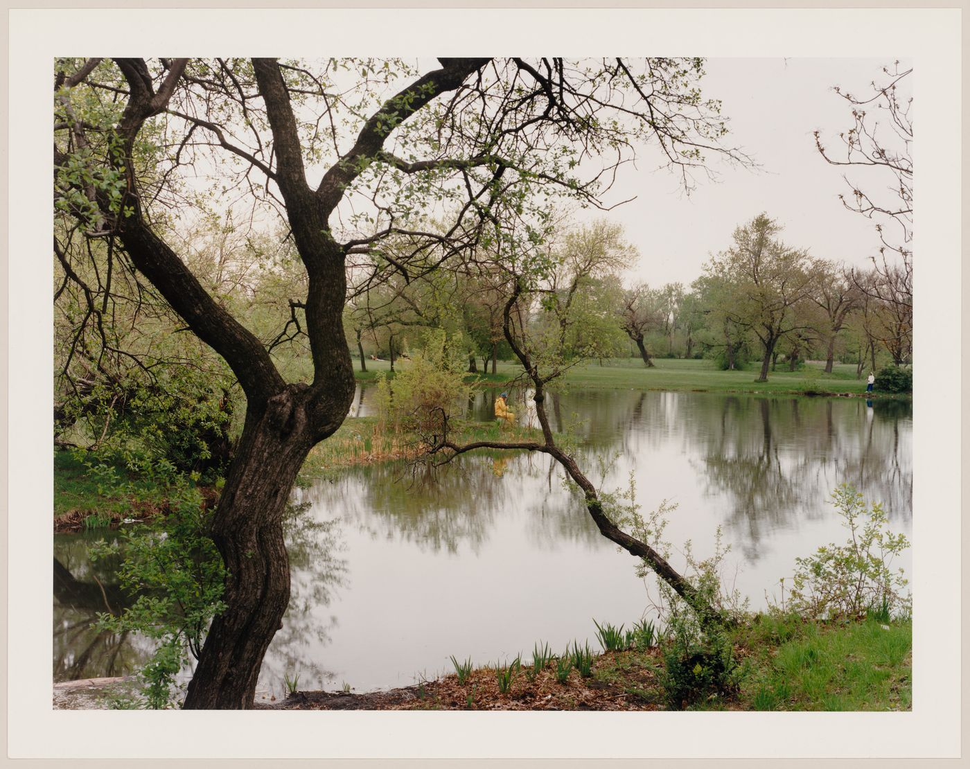 Viewing Olmsted: View of Mere, Washington Park, Chicago, Illinois