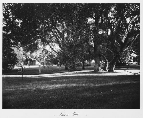 View of the estate grounds, Thurlow Lodge, Menlo Park, California
