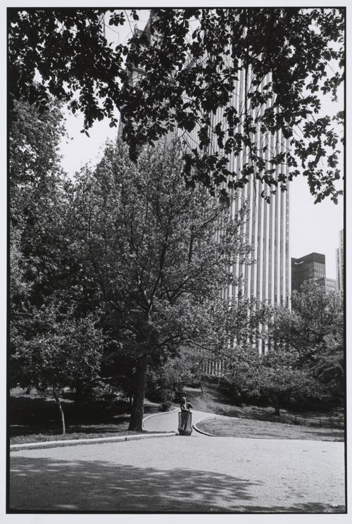 Central Park, man standing by wire trash basket