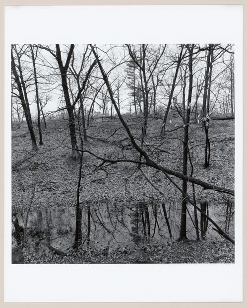 Charles River, Metropolitan Boston, Massachusetts