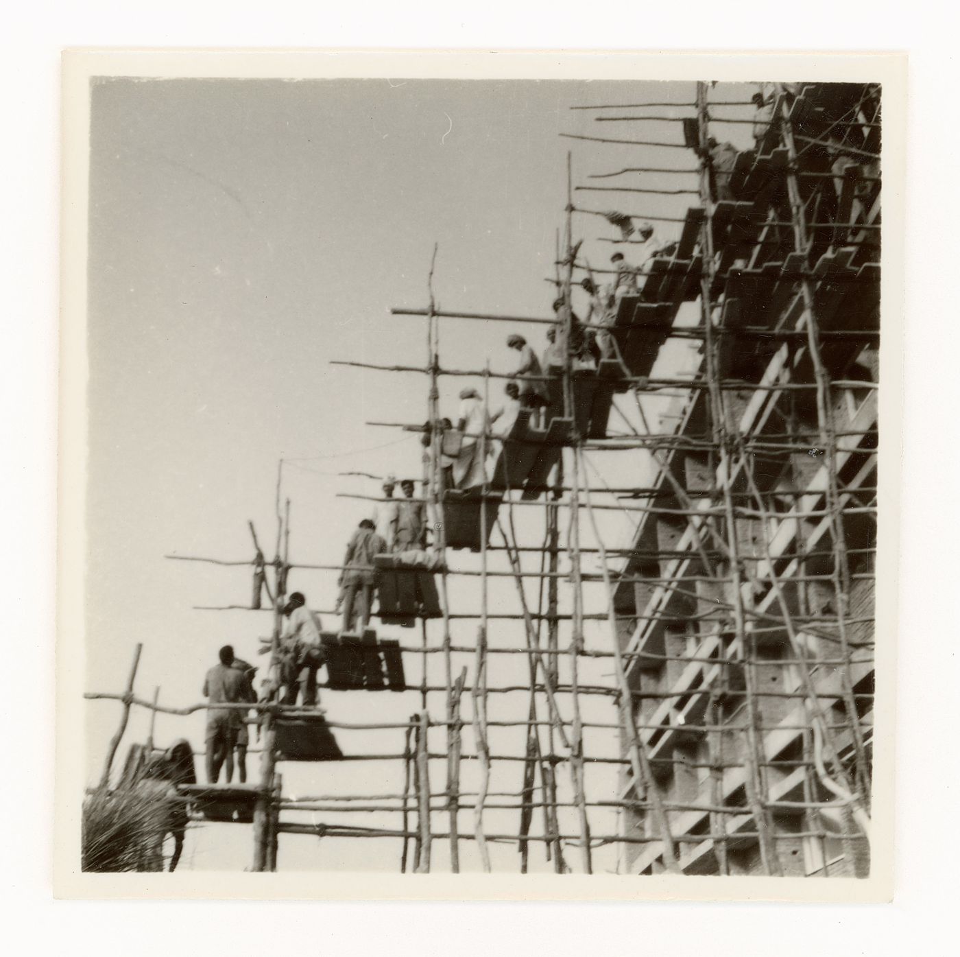 View of construction workers on wooden scaffolding passing on material supplies to upper levels of building, Chandigarh, India