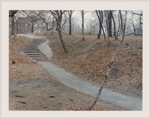 Viewing Olmsted: View of Stairway to Summit Rock, Central Park, New York City, New York