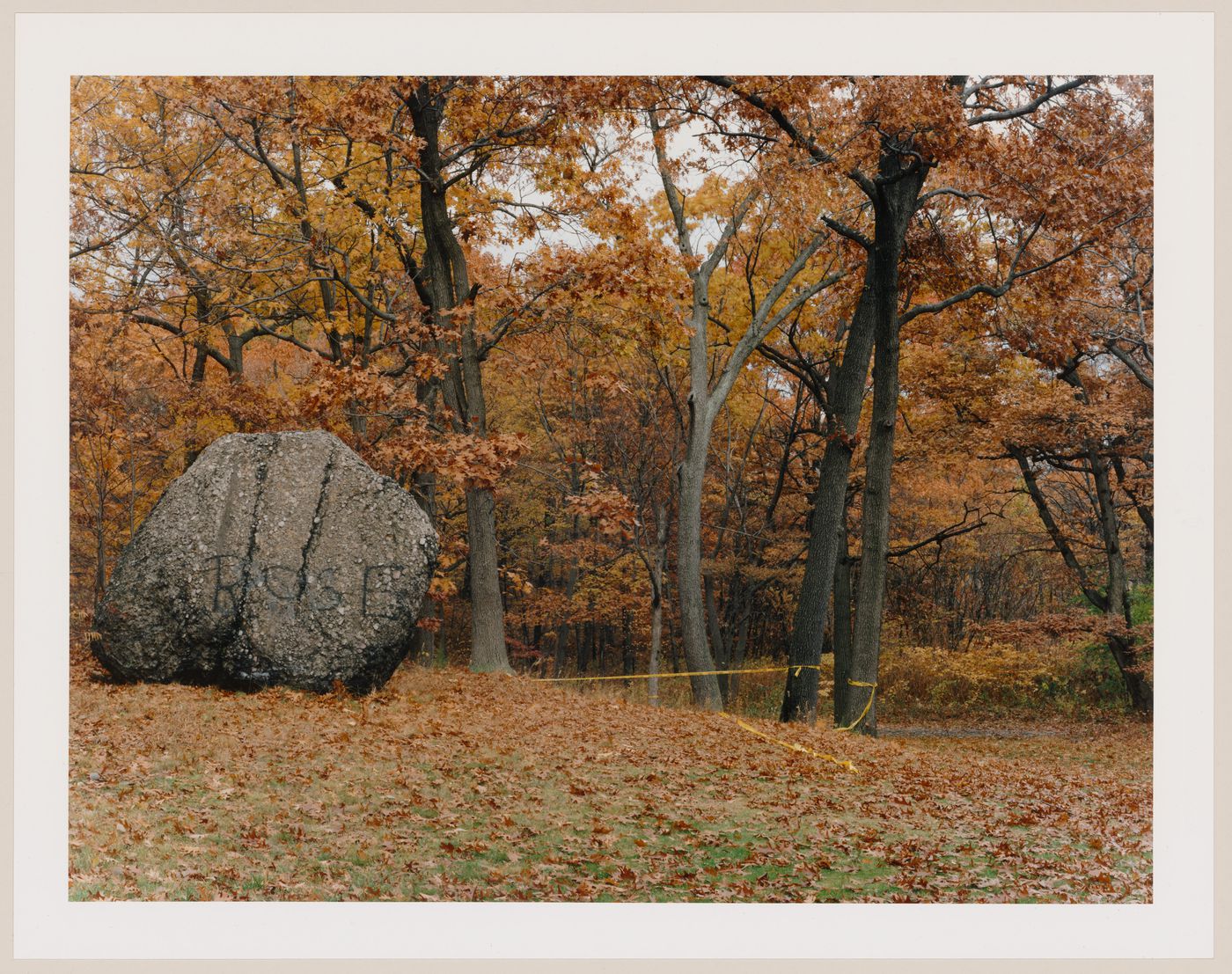 Viewing Olmsted: View of Rock, Franklin Park, Boston, Massachusetts