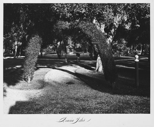 View of the estate grounds, Thurlow Lodge, Menlo Park, California