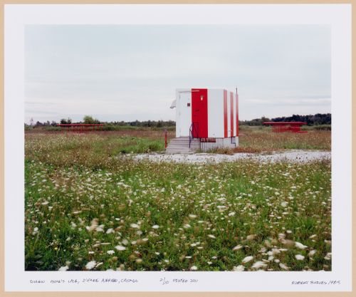 ORD: O’Hare Airfield: View of Queen Anne's Lace, O'Hare Airfield, Chicago
