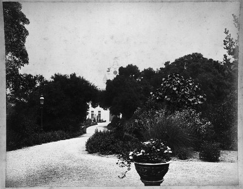Looking down driveway towards carriage house [?], Linden Towers, James Clair Flood Estate, Atherton, California