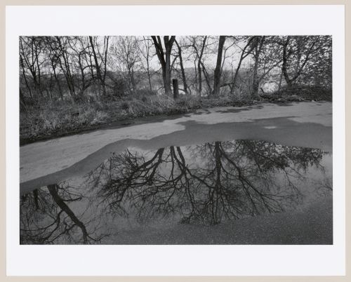 View towards Ohio River, Shawnee Park, Louisville, Kentucky
