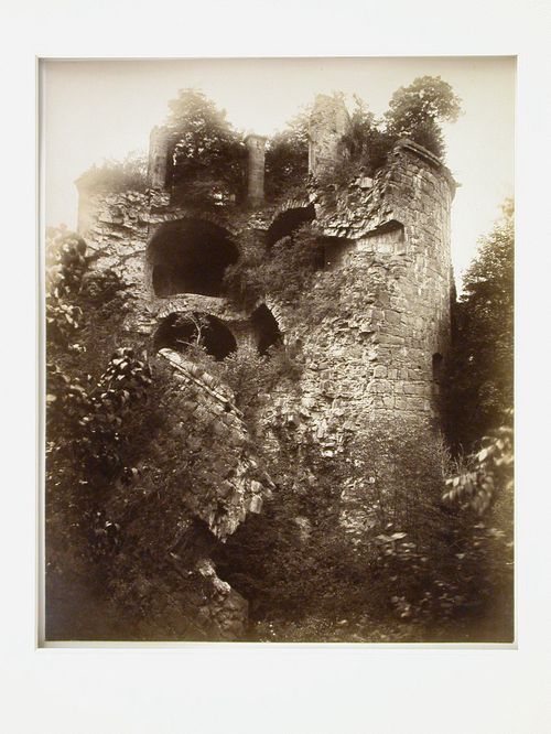 View of ruined stone tower, overgrown with plants, Heidelberg, Germany