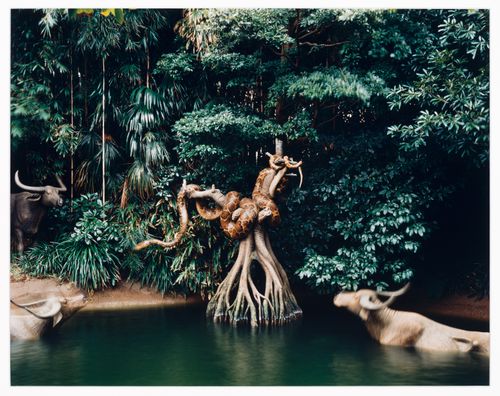 Jungle Cruise, Adventureland, Tokyo Disneyland, Japan