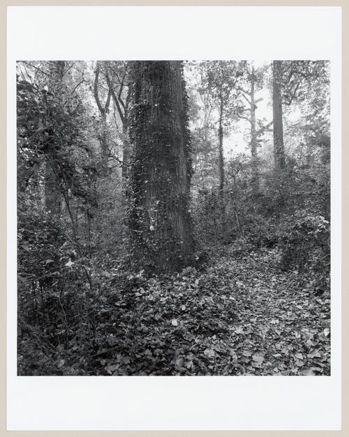 Druid Hills, Atlanta, Georgia, United States