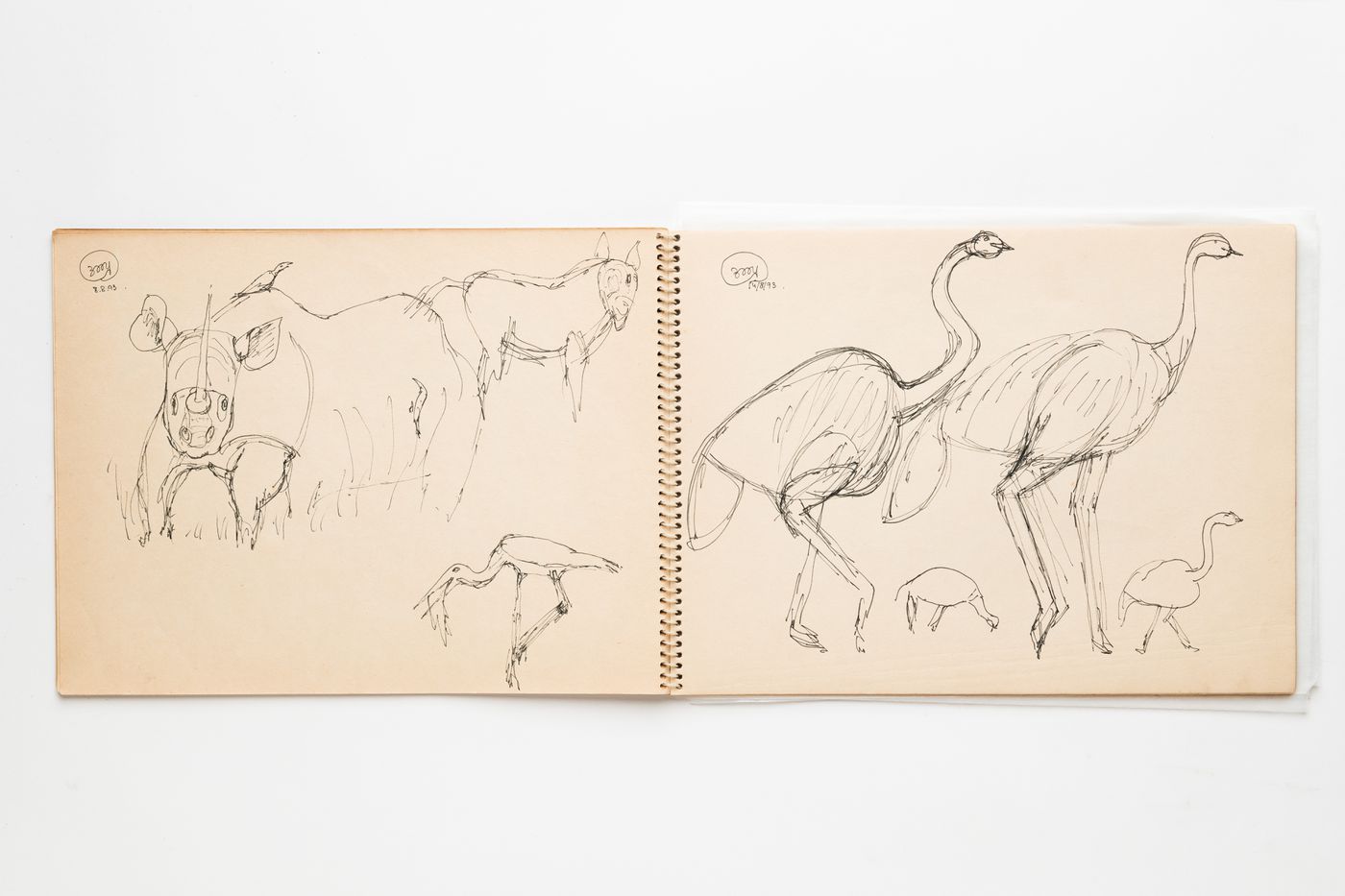 Sketchbook