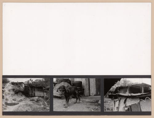 Presentation panel with photographs of a house and a puppy for the Urban Upgrading project La Esperanza, in Zihuatanejo, Mexico