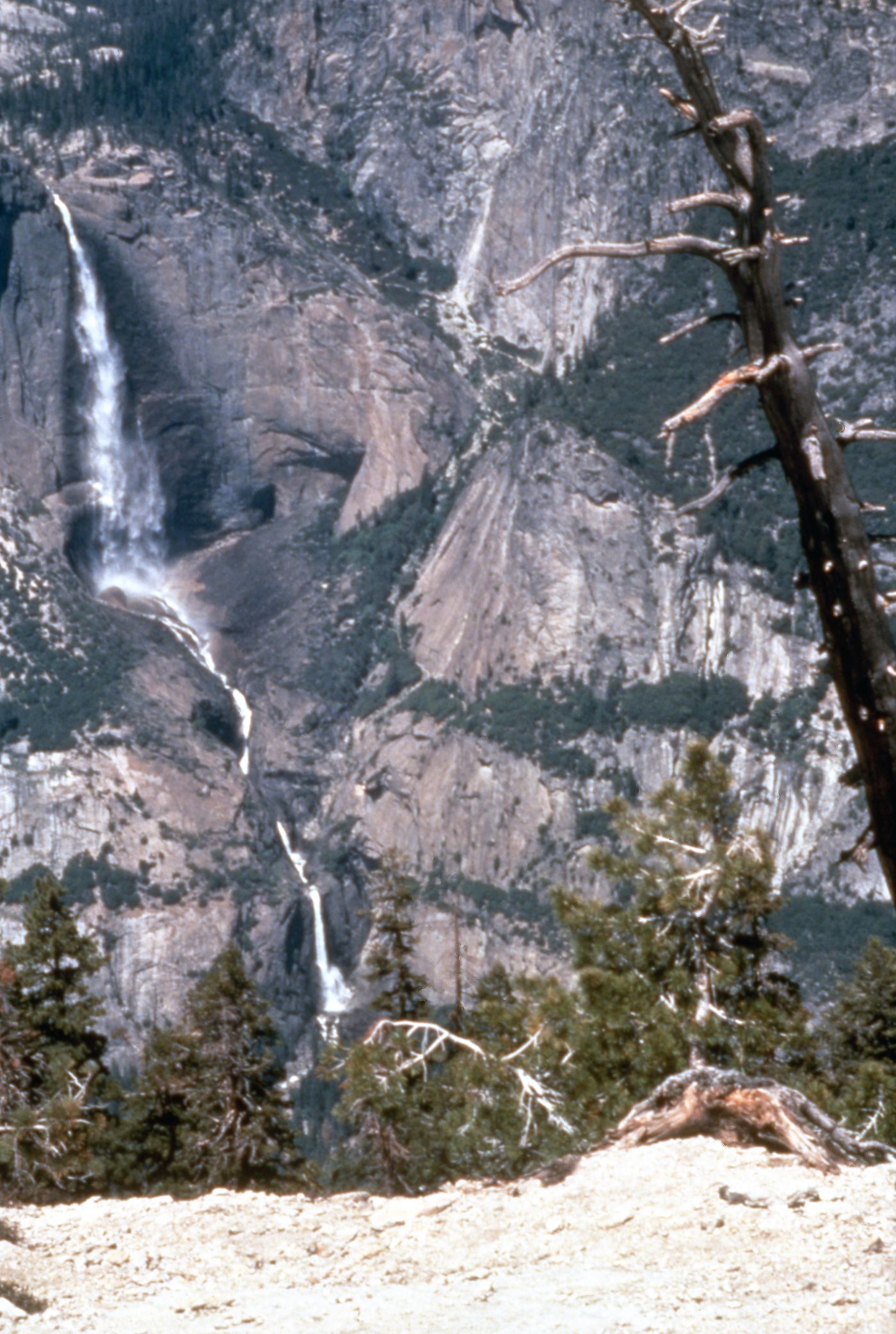 Photograph of waterfall and mountains for research for Olmsted: L'origine del parco urbano e del parco naturale contemporaneo