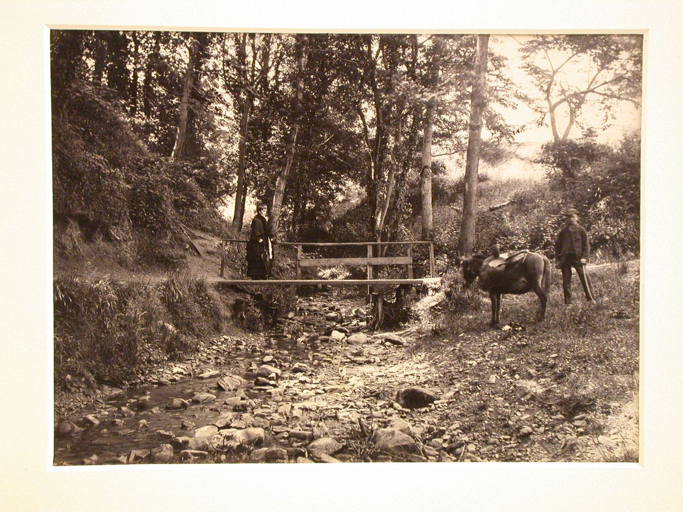 Rural wooden bridge over stream (# 963), Bedford, England