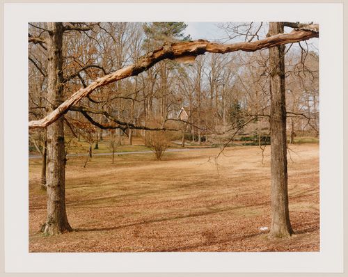 Viewing Olmsted: View across Deepdene from Ponce de Leon north, Druid Hills, Atlanta, Georgia, United States