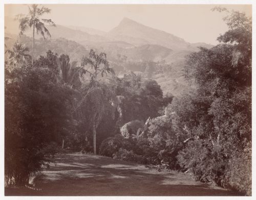 View of forests and mountains with the Hantana mountain range in the background and a clearing in the foreground, near Kandy, Ceylon (now Sri Lanka)
