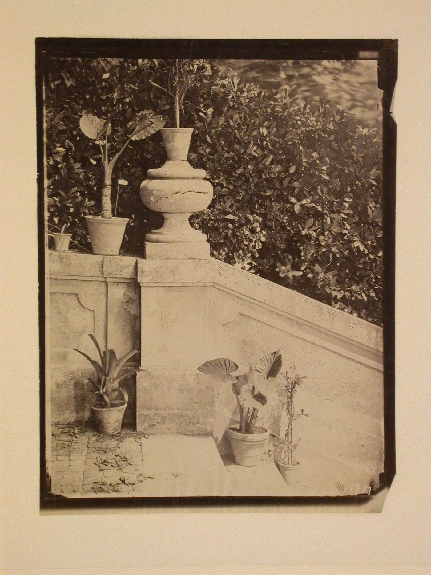 Exterior stairway with urn and plants, Italy