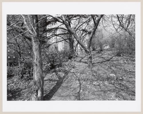 Prospect Park, Brooklyn, New York City, New York