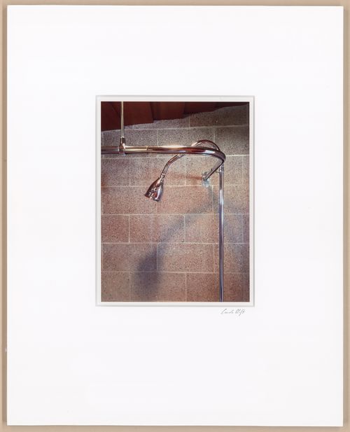 Bathroom fixtures, red bricks, from the series The David and Gladys Wright House