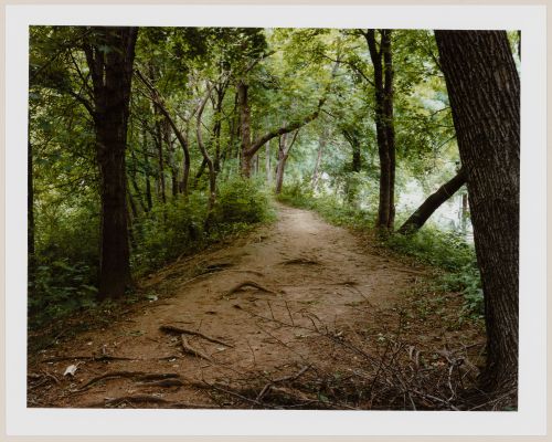 Viewing Olmsted: View of Pathway, The West Wood, Prospect Park, Brooklyn, New York City, New York