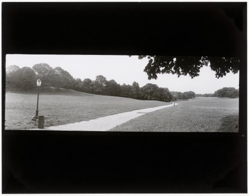 Long Meadow, Prospect Park, Brooklyn, New York City, New York
