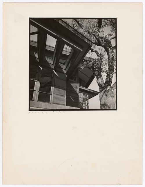 View of the Hanna House showing overhangs, eaves, windows, and a tree, Palo Alto, California, United States