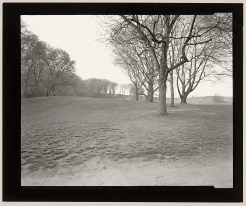 View from Scarboro Pond towards Scarboro Hill, Franklin Park, Boston, Massachusetts