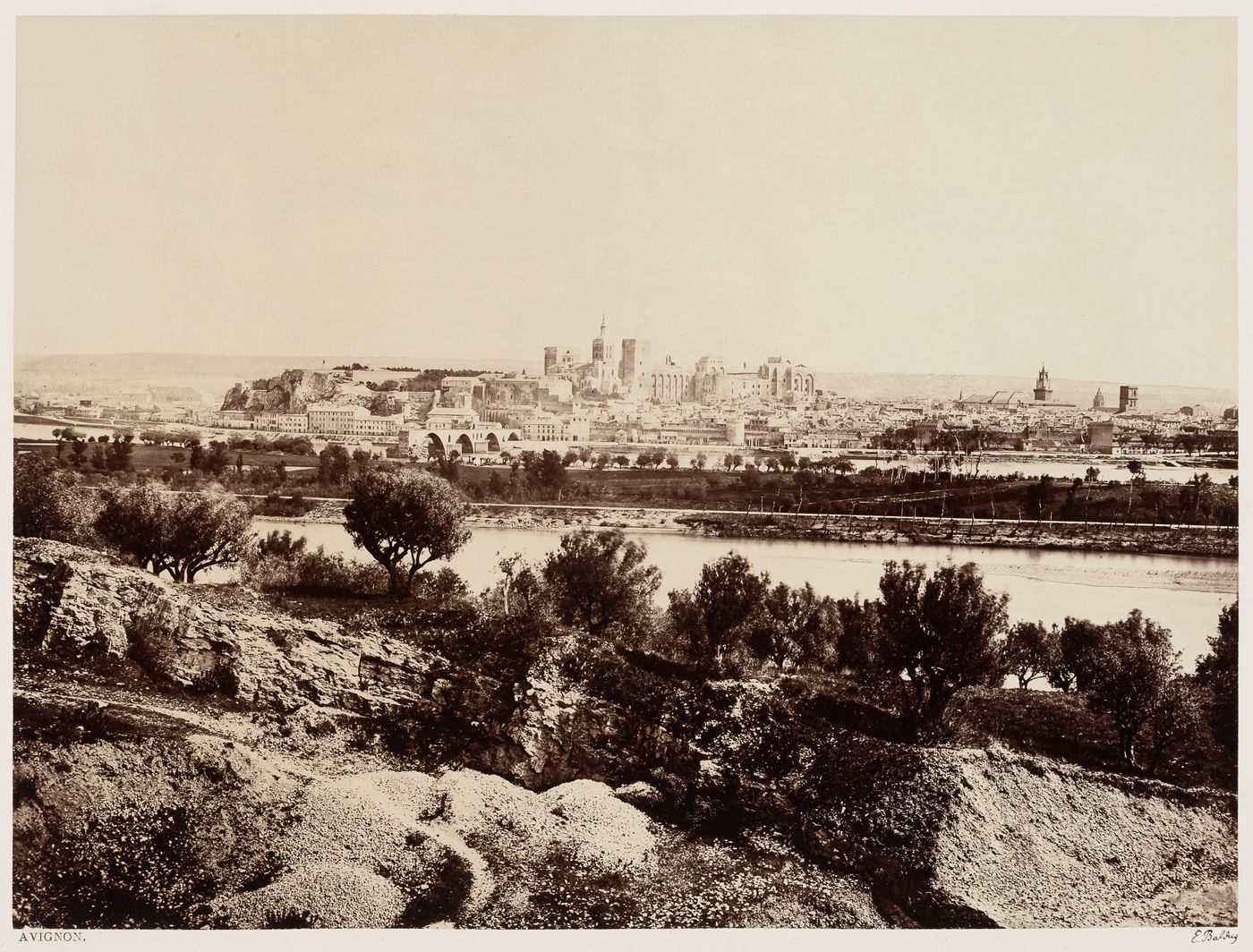 Avignon