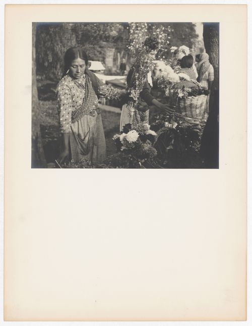 View of a flower market showing people and flowers, Mexico City, Mexico