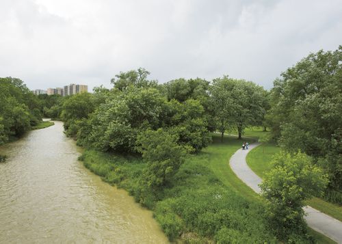 An Enduring Wilderness: Rowntree Mills Park, Toronto